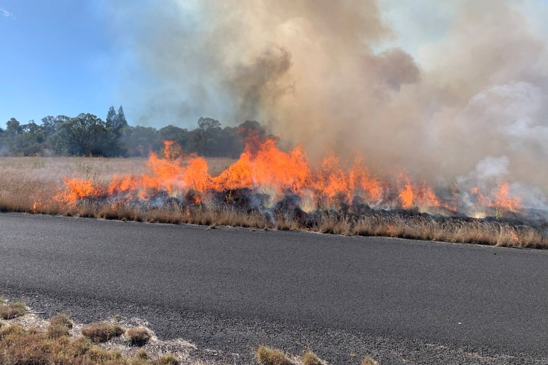 Pindari grass fire