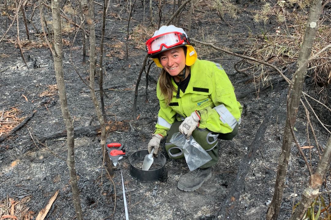 Scientist collects ash samples