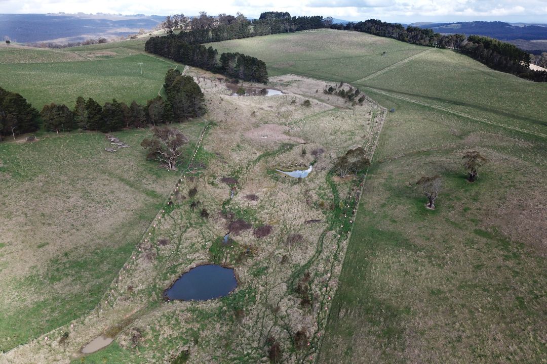 Fenced dam in paddock