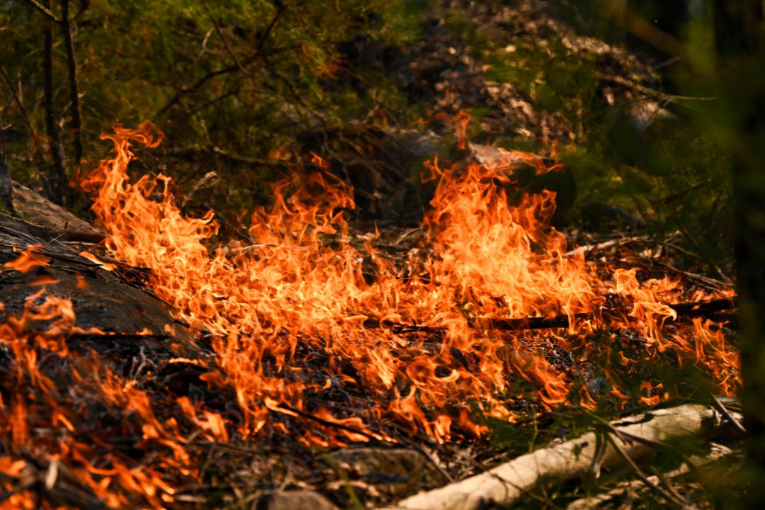 Warragamba hazard reduction burn