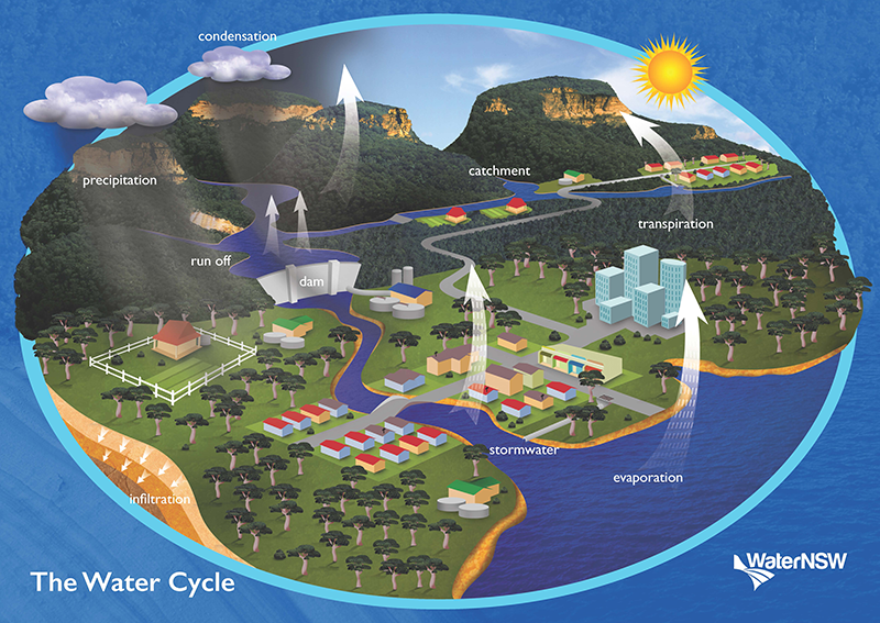 Water Cycle