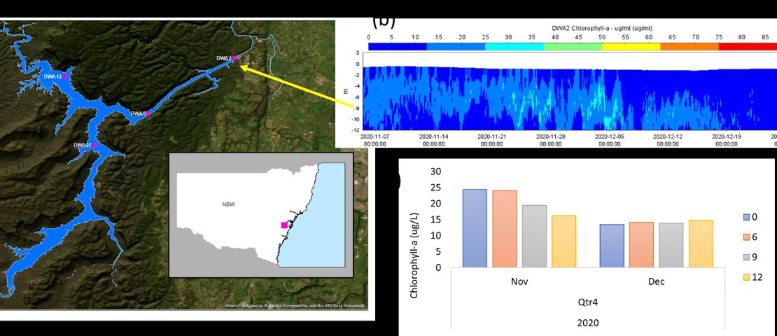 algae sensor locations