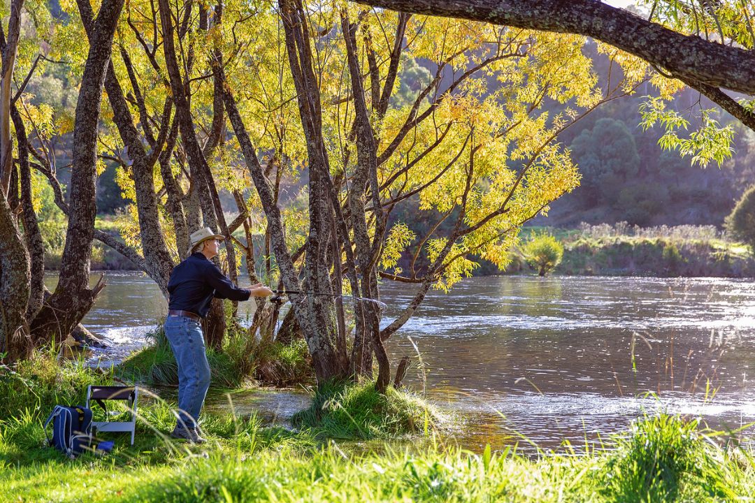 Fly fishing